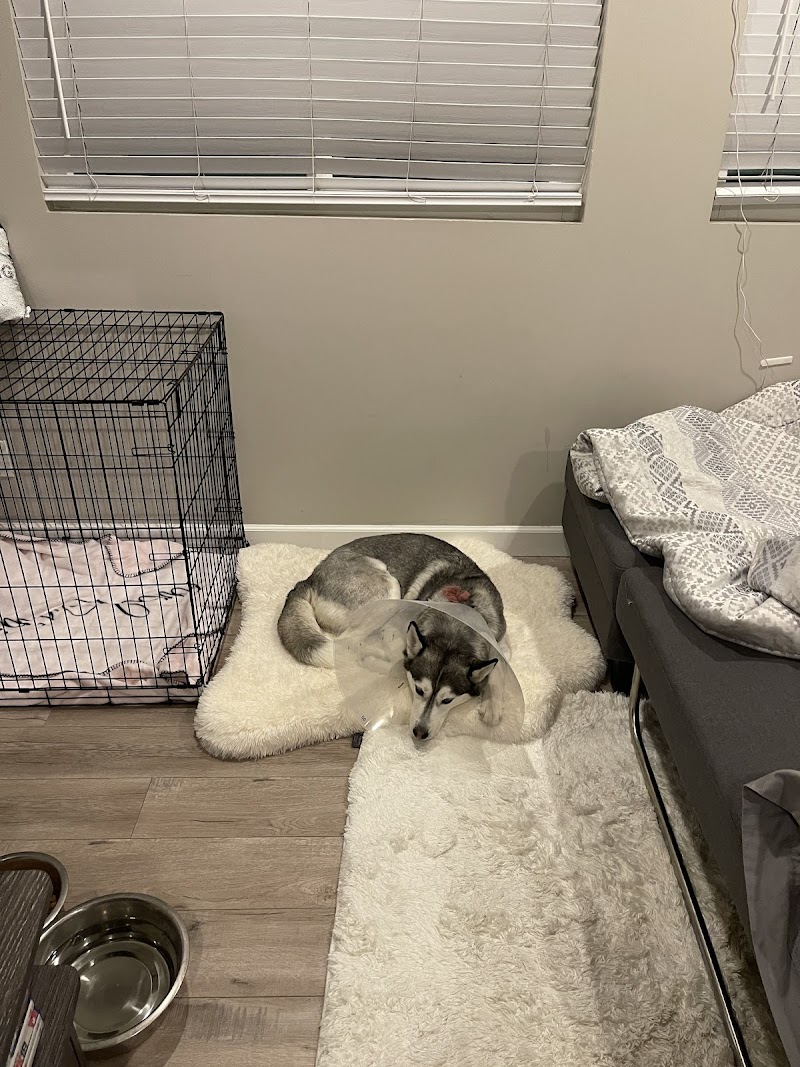 Tell Tail Veterinary Urgent Care