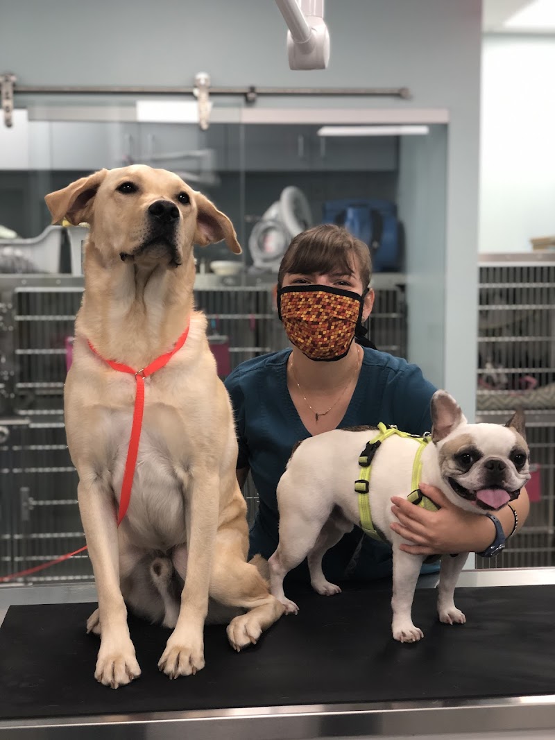 Far West Veterinary Clinic