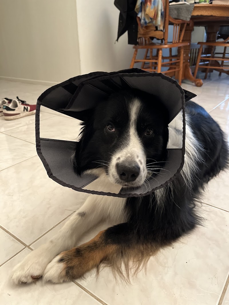 Far West Veterinary Clinic