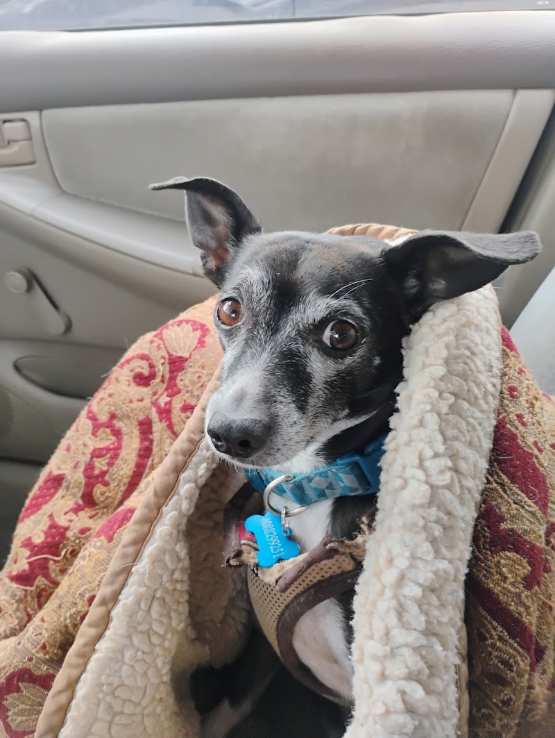 Summit Veterinary Hospital