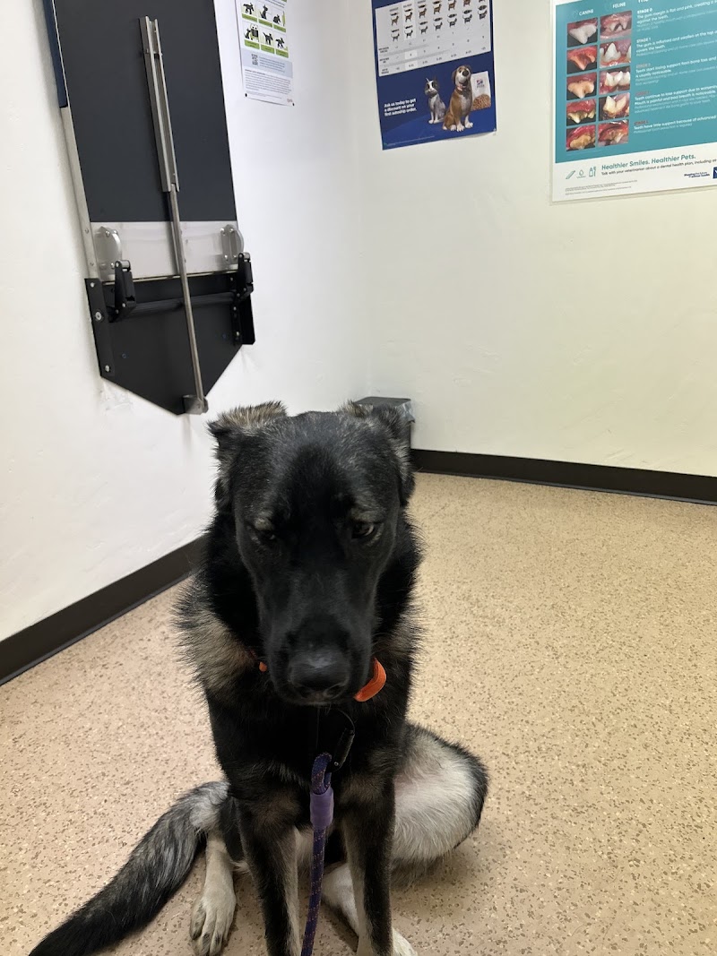Summit Veterinary Hospital