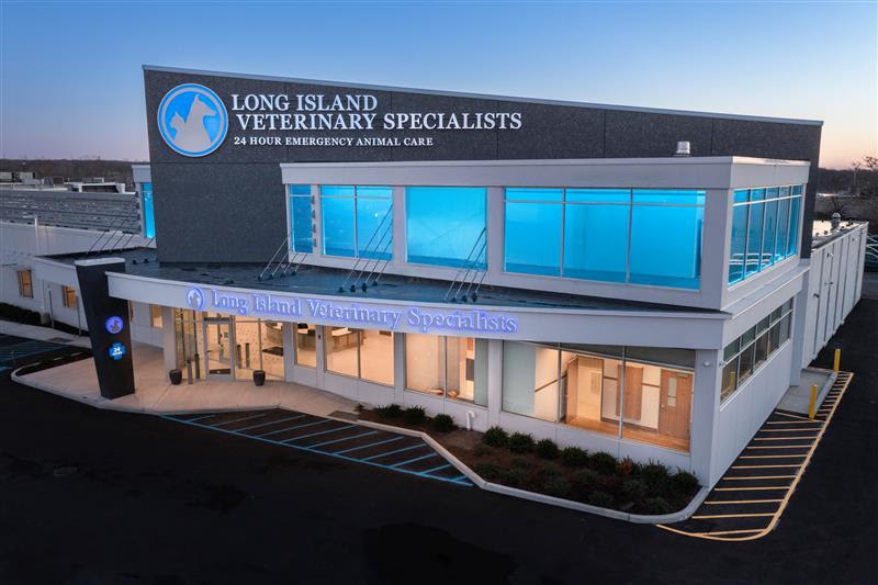 Long Island Veterinary Specialists