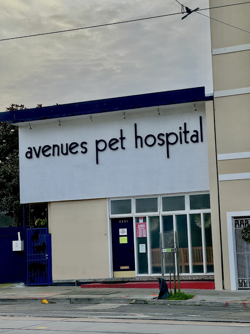 Avenues Pet Hospital
