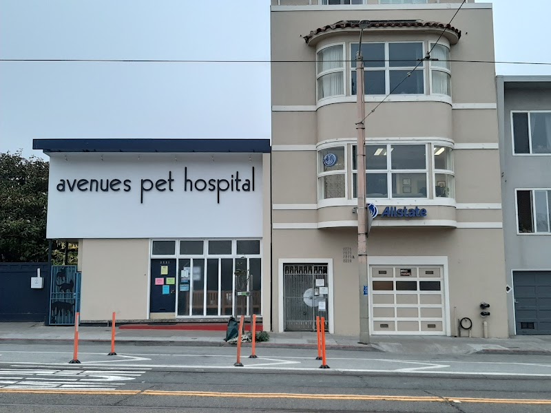 Avenues Pet Hospital
