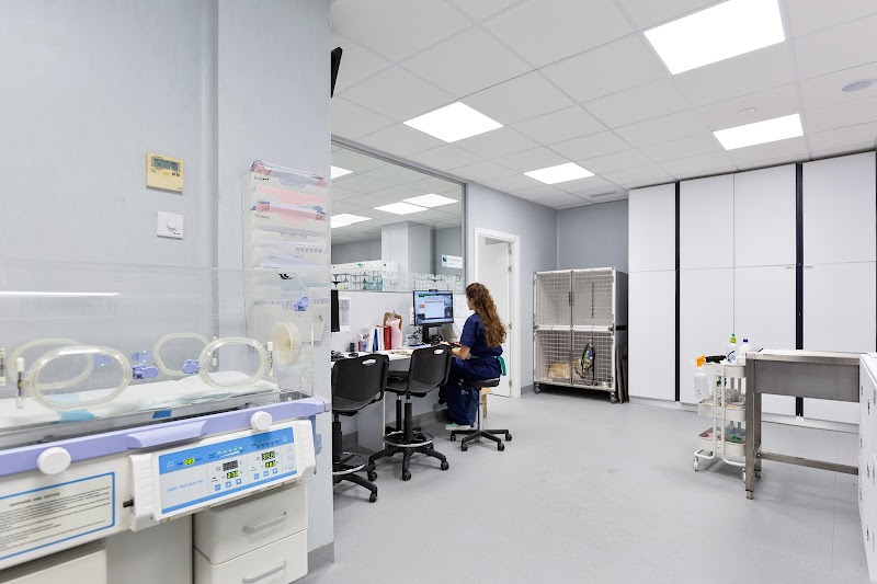 AniCura Glòries Hospital Veterinari