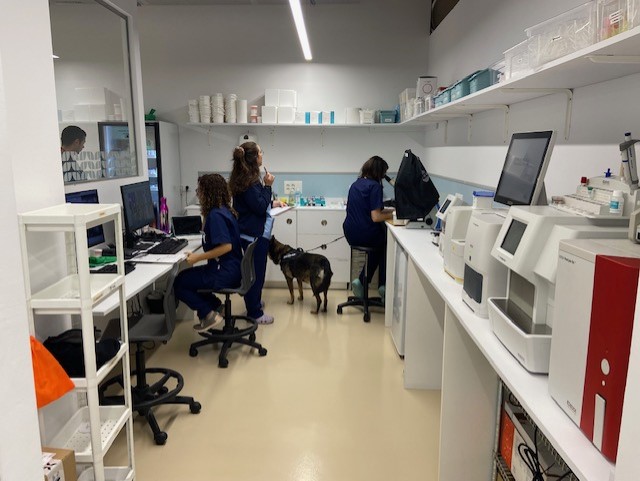 AniCura Glòries Hospital Veterinari