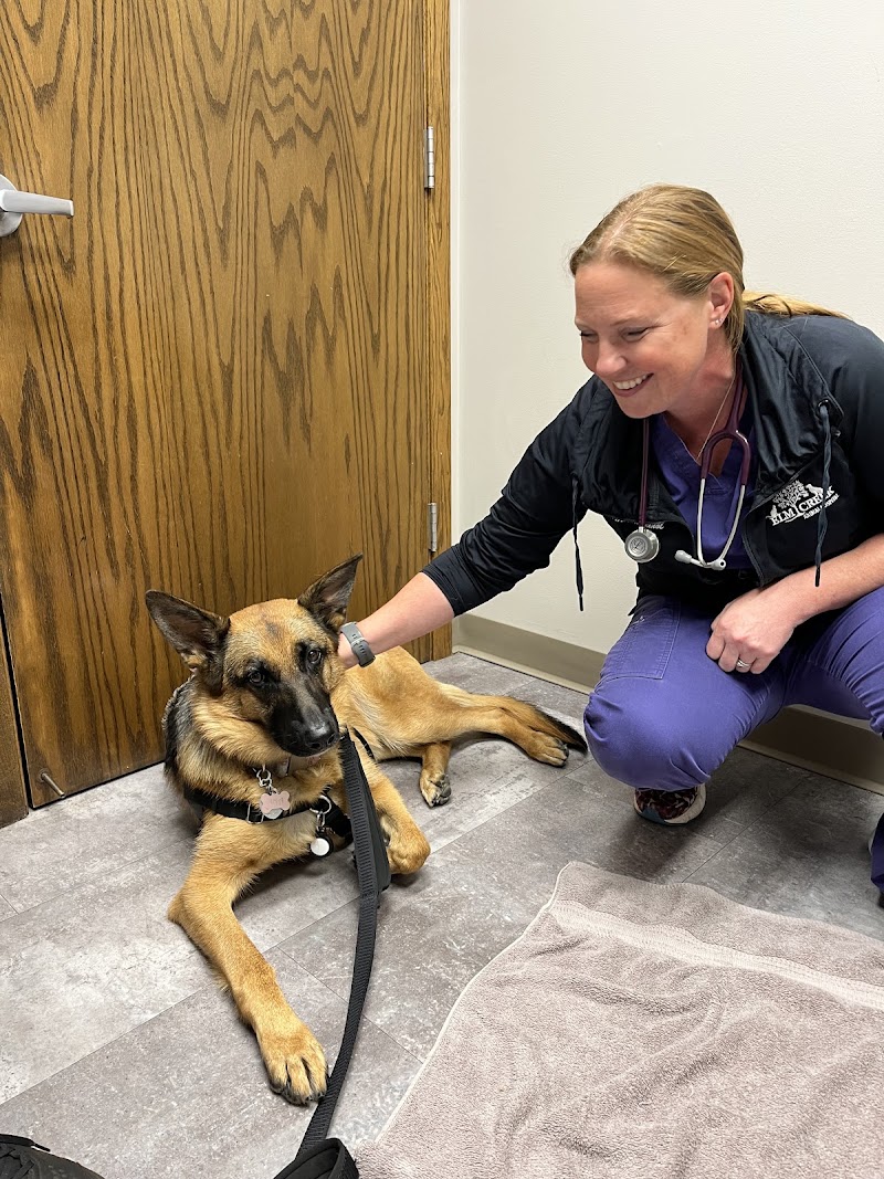 Elm Creek Animal Hospital