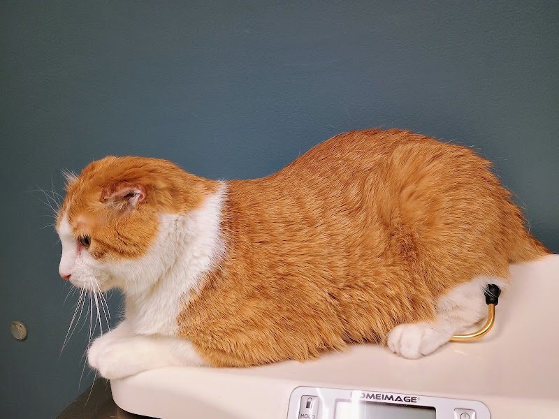Elm Creek Animal Hospital