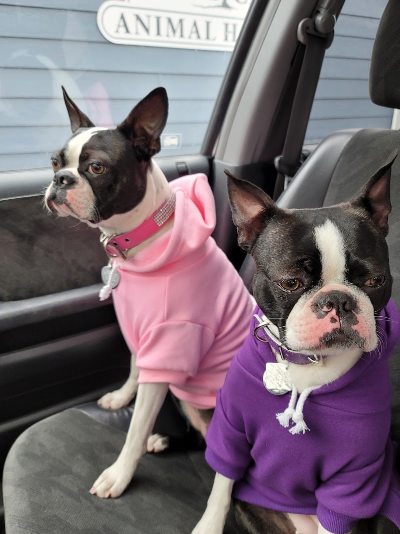 Elm Creek Animal Hospital