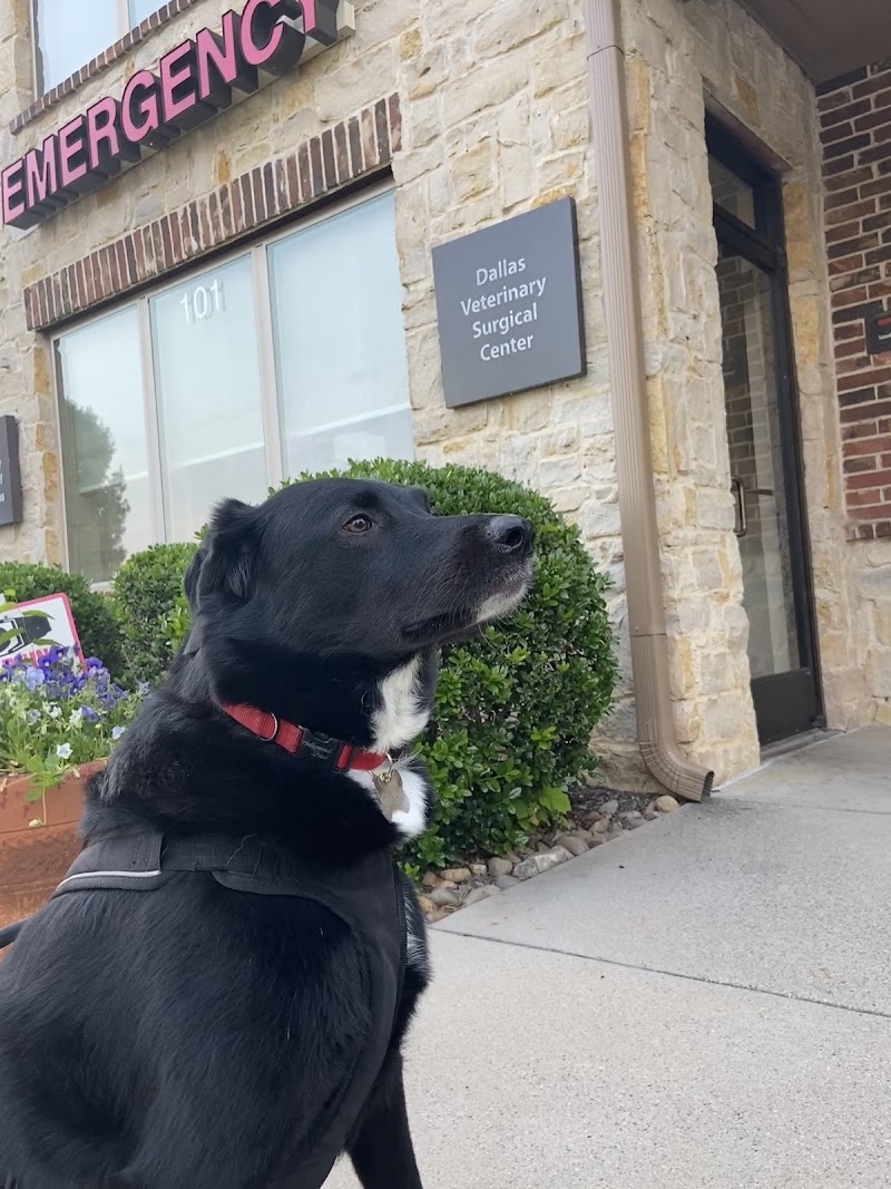 Dallas Veterinary Surgical Center (DVSC) - Grapevine
