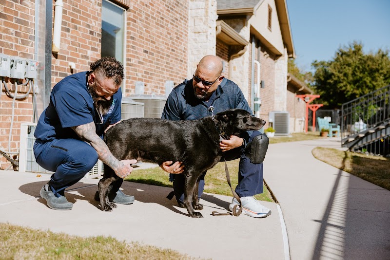Dallas Veterinary Surgical Center (DVSC) - Grapevine