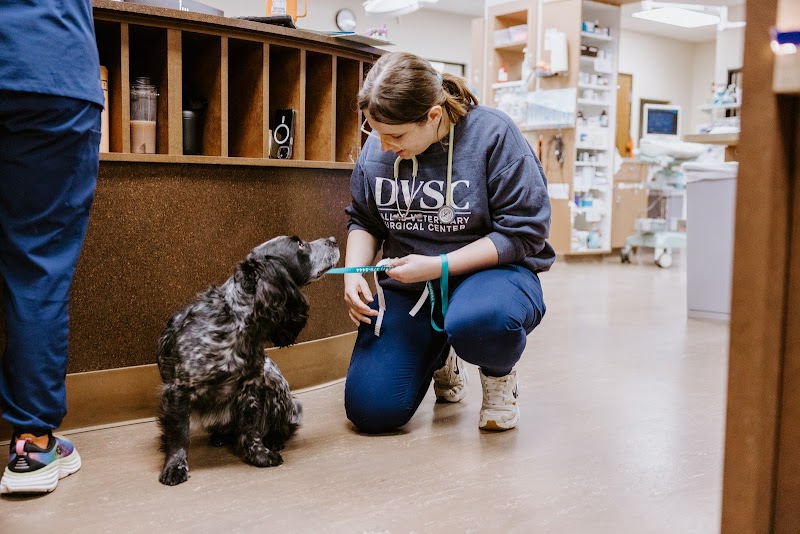 Dallas Veterinary Surgical Center (DVSC) - Grapevine