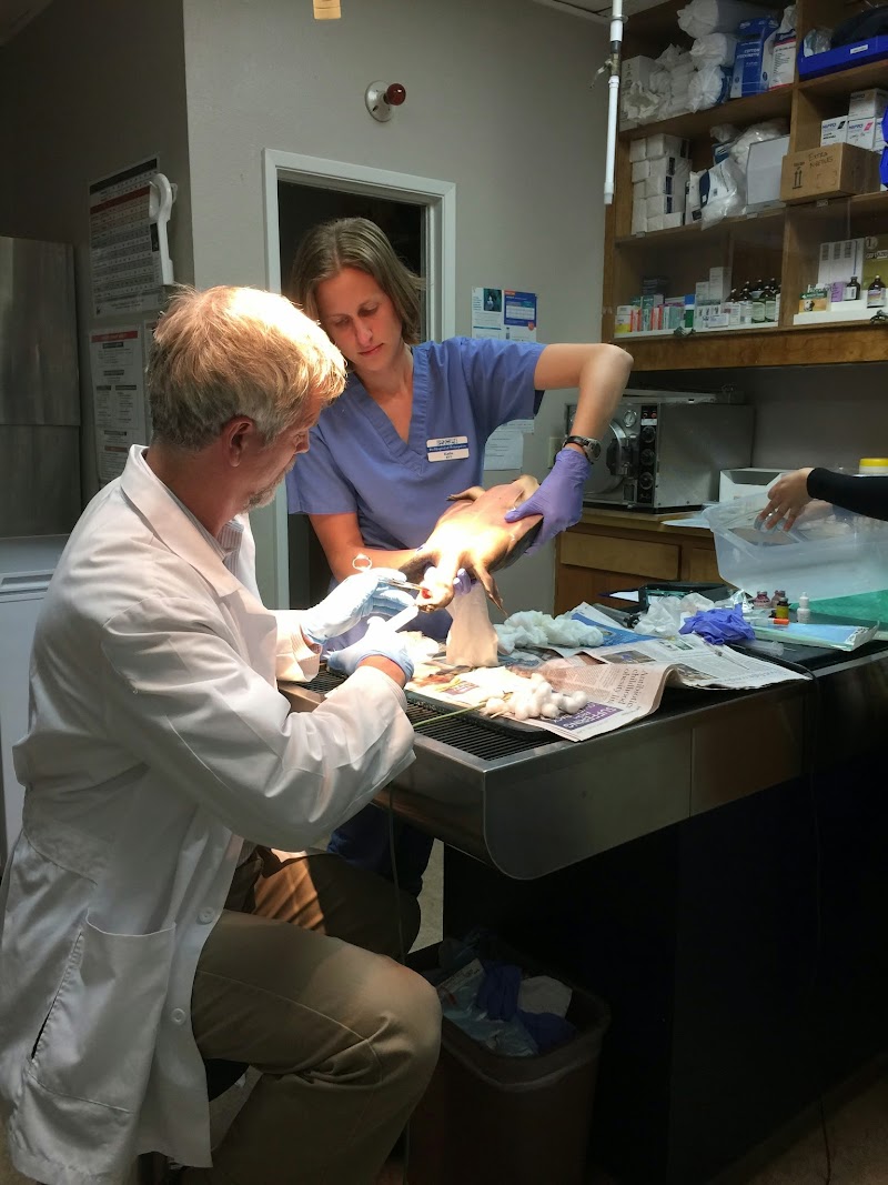 Pet Hospital of Penasquitos-Veterinary Specialist