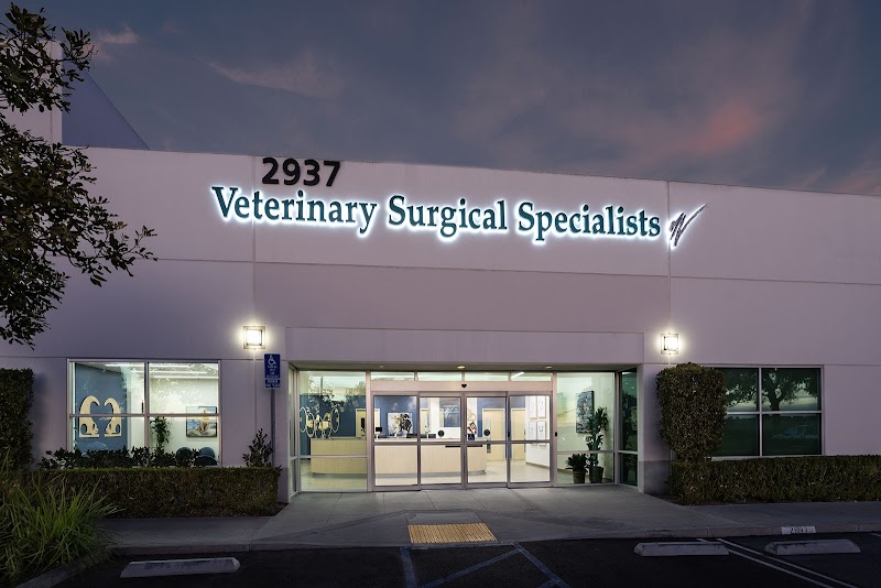Veterinary Surgical Specialists