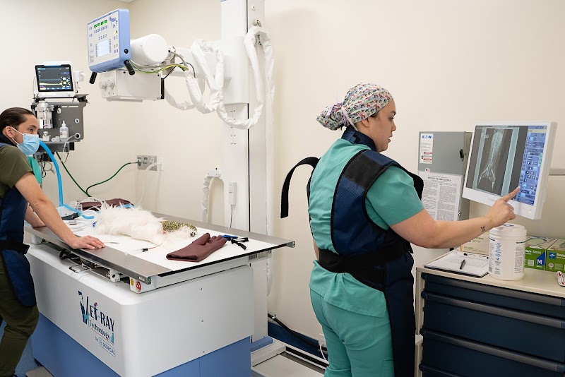 Veterinary Surgical Specialists