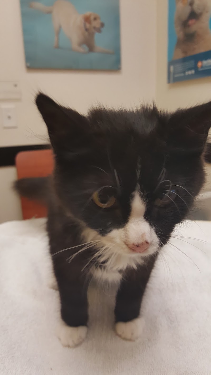 Banfield Pet Hospital