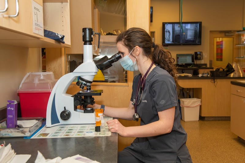 West Loop Veterinary Care