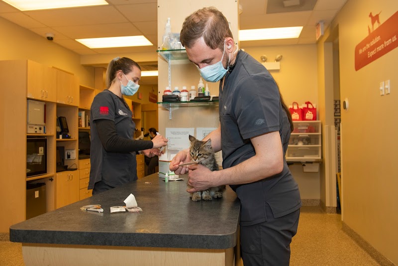 West Loop Veterinary Care