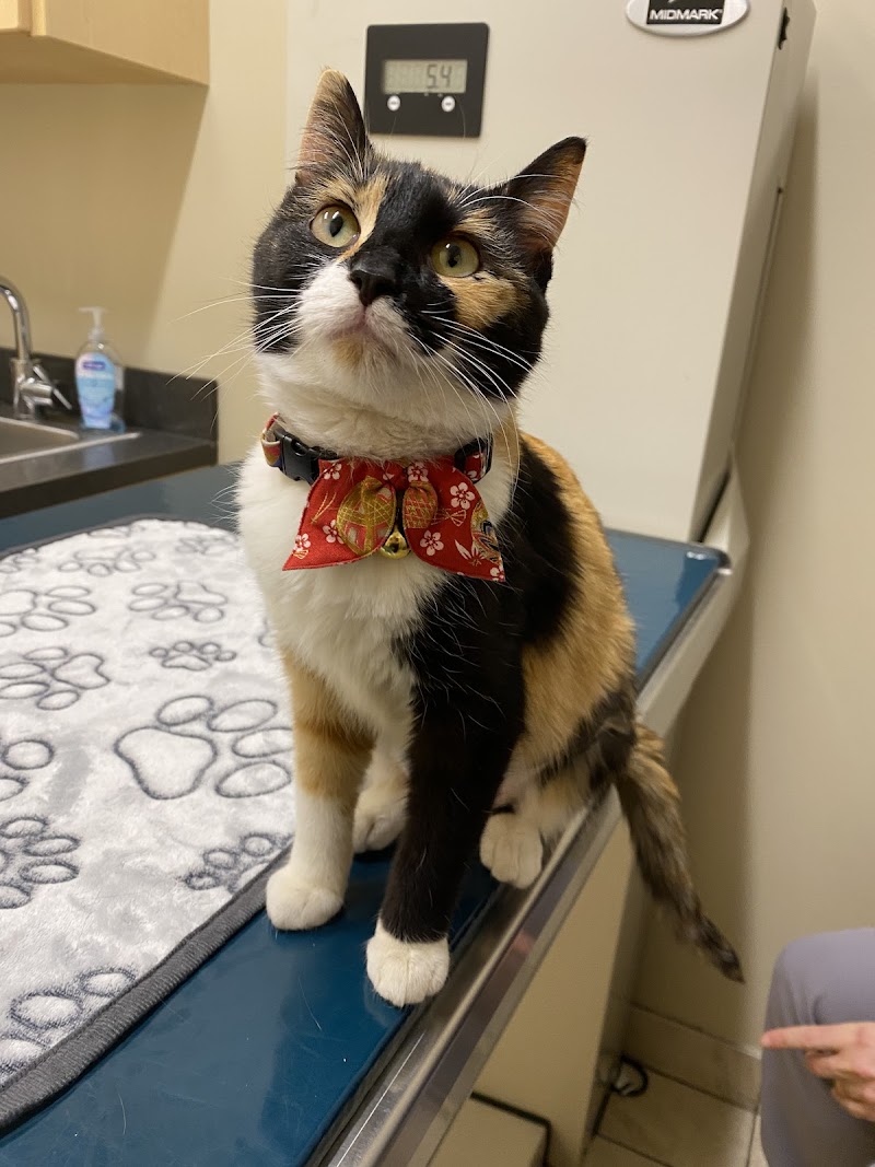 West Loop Veterinary Care