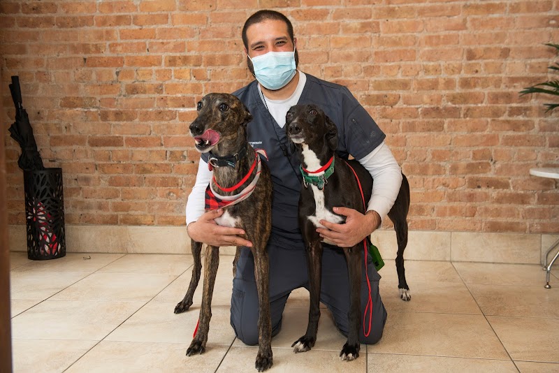 West Loop Veterinary Care