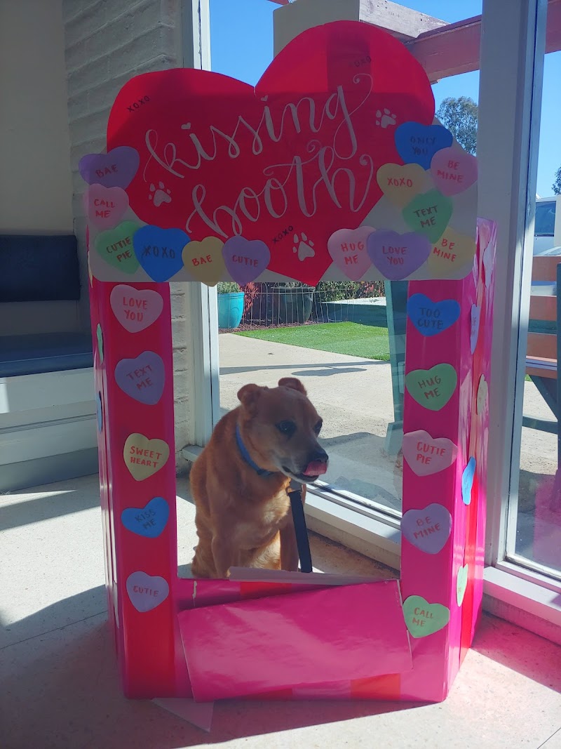 Rancho Mesa Animal Hospital