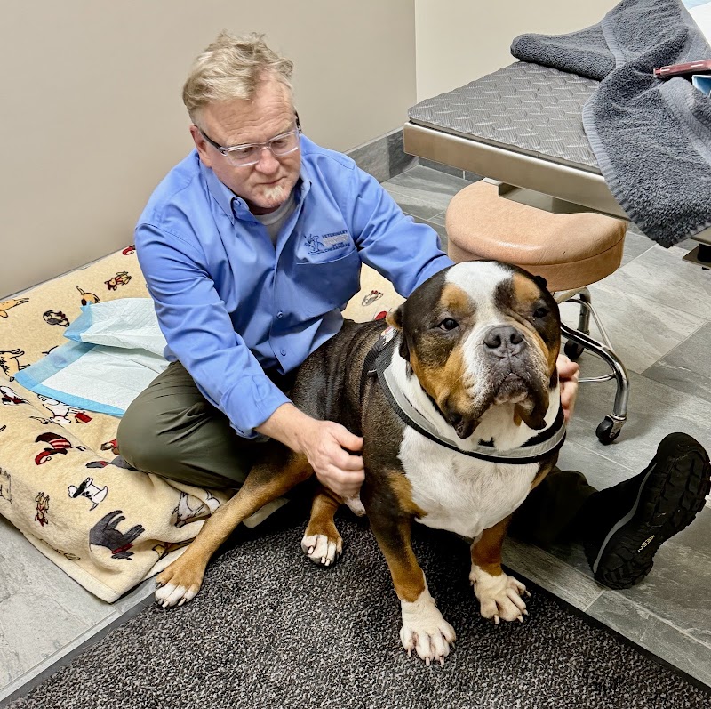 Veterinary Neurology & Imaging of the Chesapeake