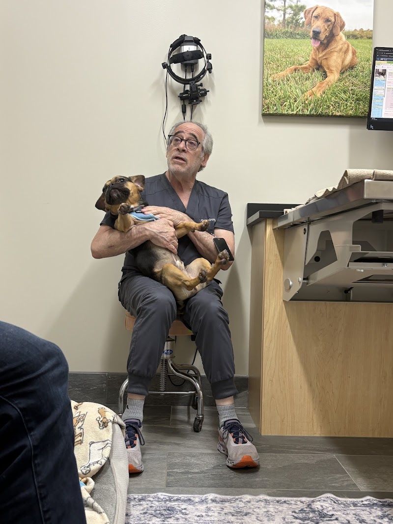 Veterinary Neurology & Imaging of the Chesapeake