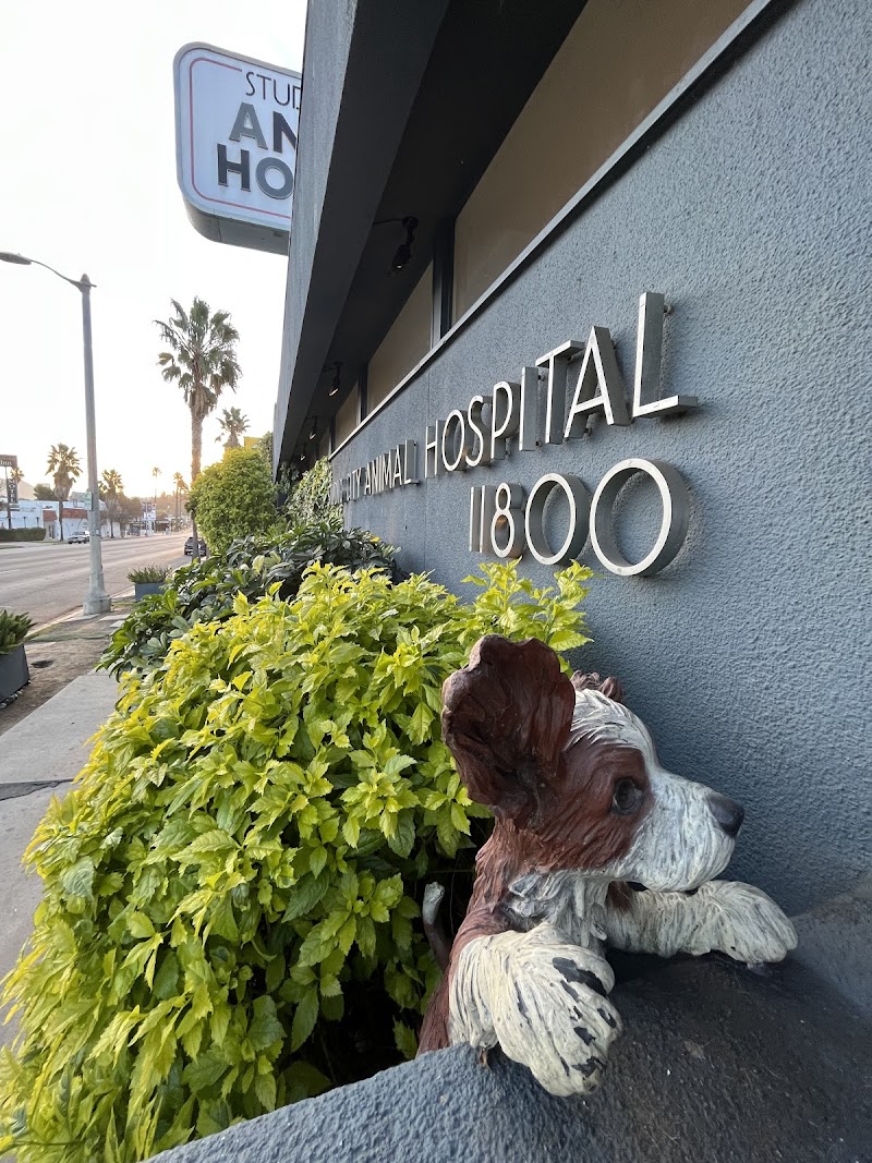 Studio City Animal Hospital