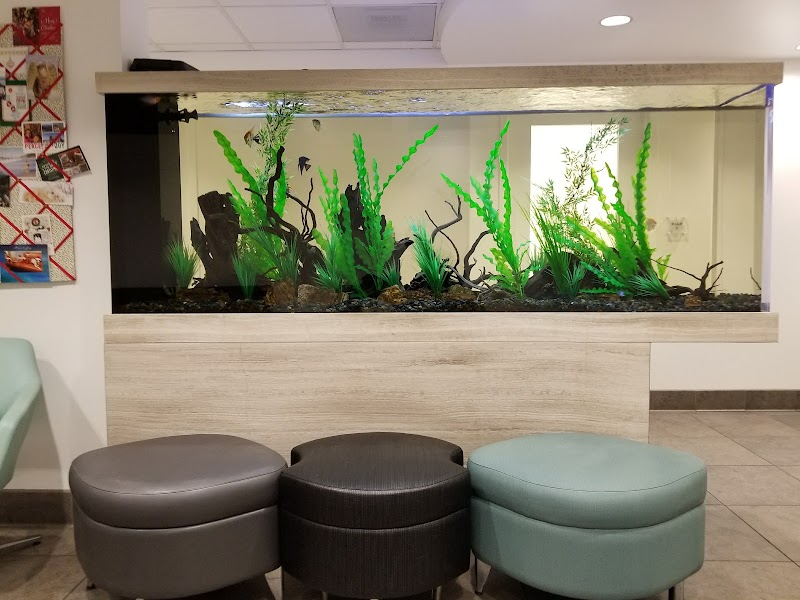 Studio City Animal Hospital