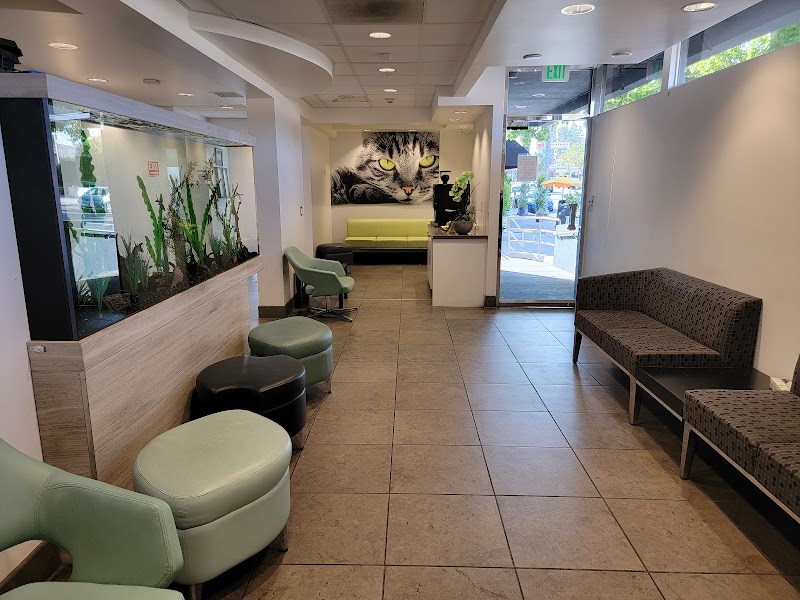 Studio City Animal Hospital
