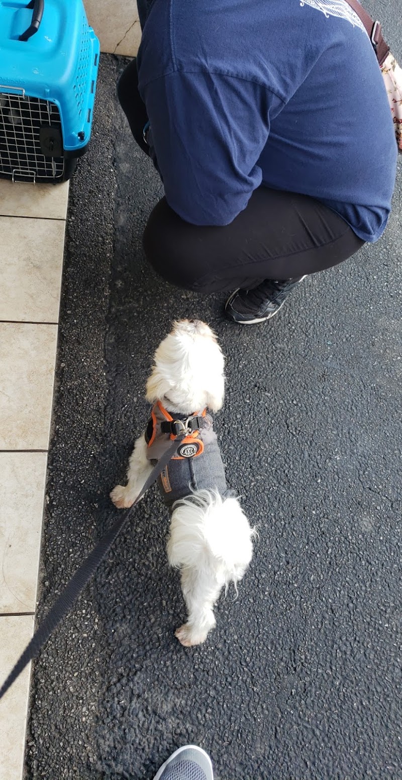 Torrance Companion Animal Hospital