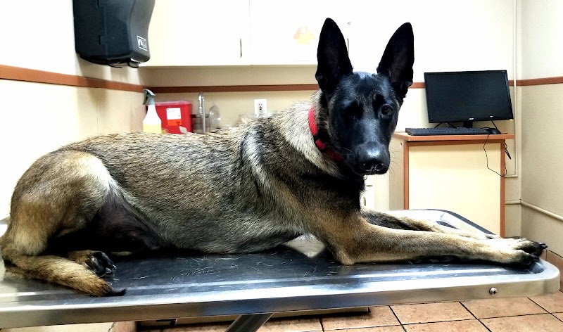 Torrance Companion Animal Hospital