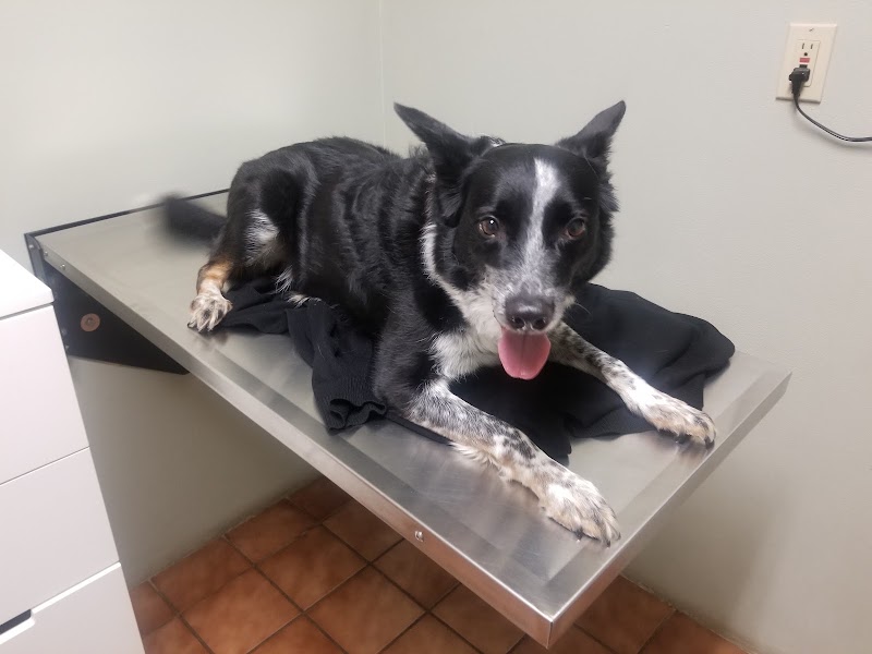 Portland Animal Clinic