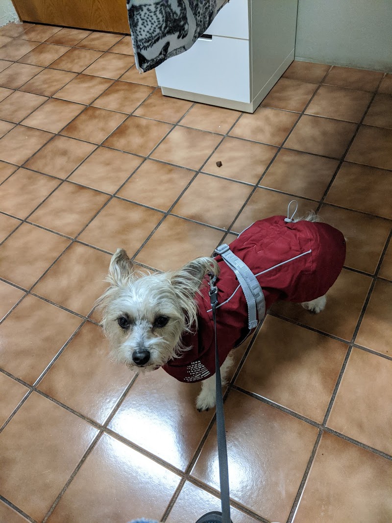 Portland Animal Clinic