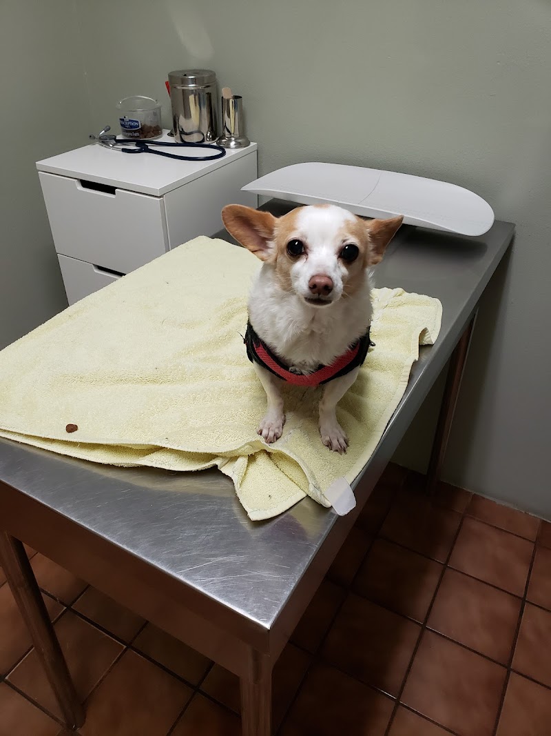 Portland Animal Clinic