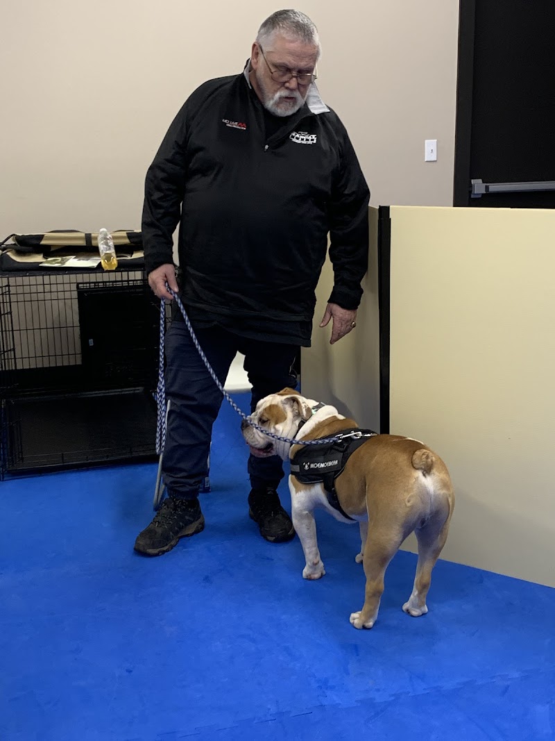 Synergy Veterinary Behavior