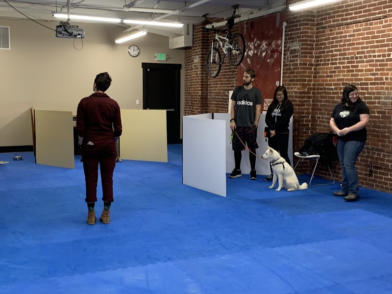 Synergy Veterinary Behavior