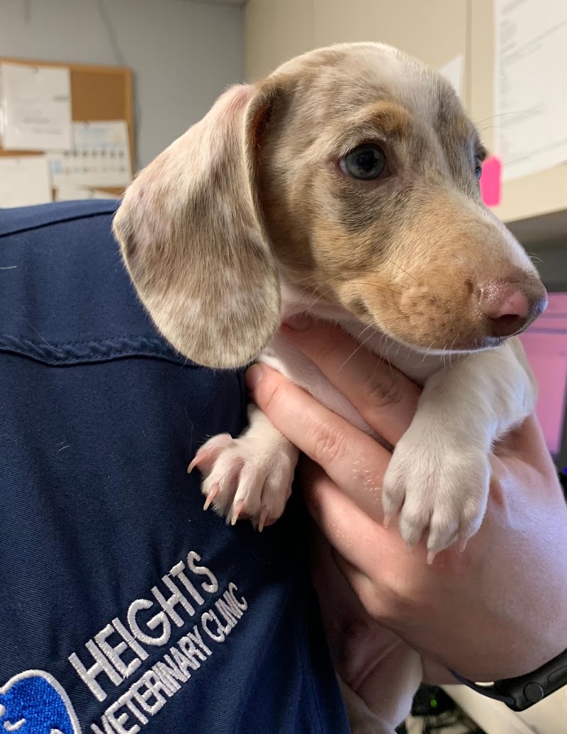 Heights Veterinary Clinic - Northwest