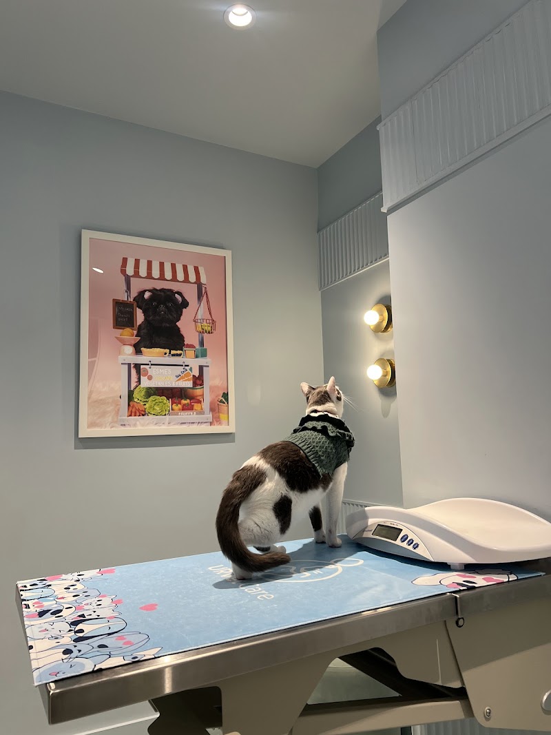 URvet Care Upper East Side (Midtown Medical Center is Open 24/7)