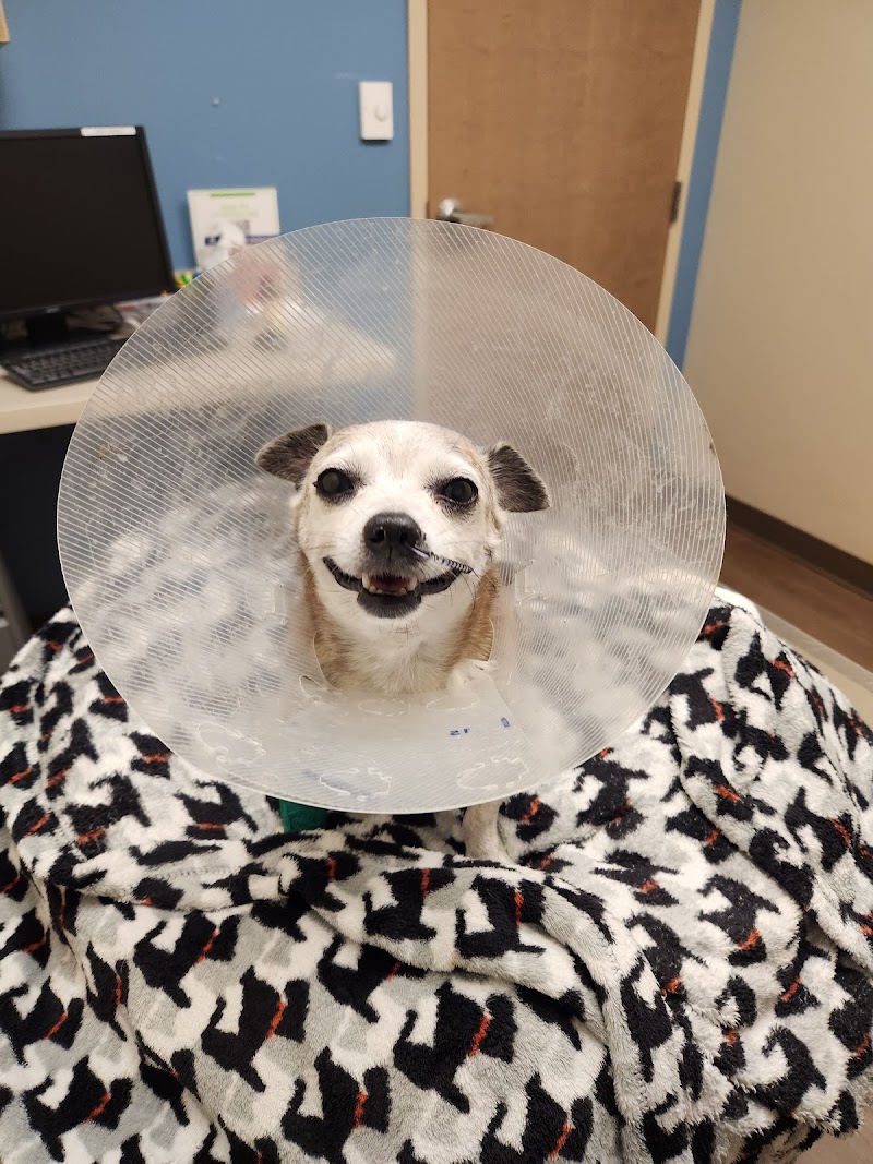 Emergency Veterinary Services of Lisle