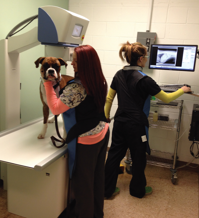 Emergency Veterinary Services of Lisle