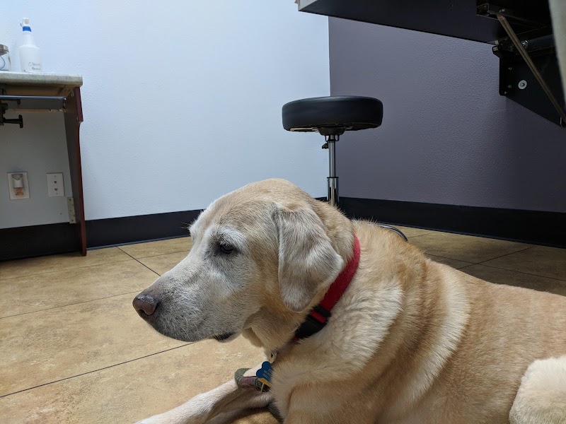 Vanguard Veterinary Clinic Redland