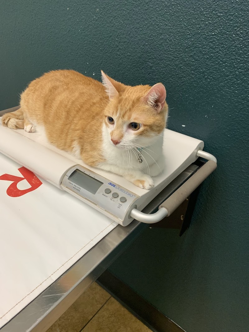 Vanguard Veterinary Clinic Redland