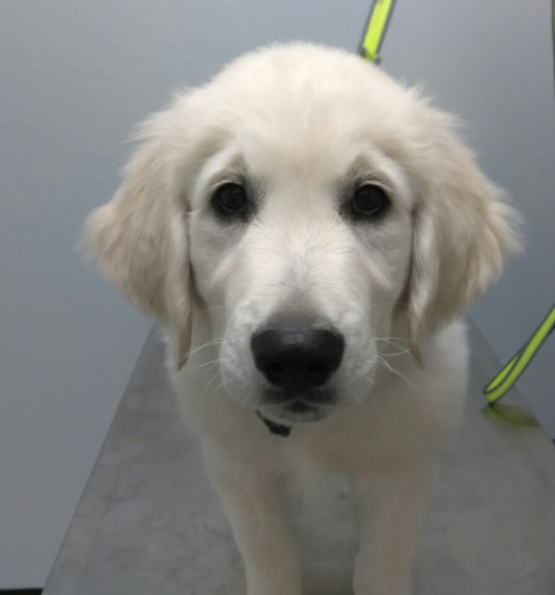 Vanguard Veterinary Clinic Redland