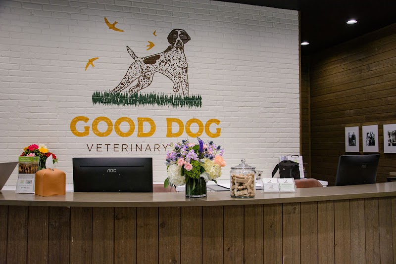 Good Dog Veterinary Care Smyrna