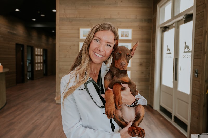 Good Dog Veterinary Care Smyrna