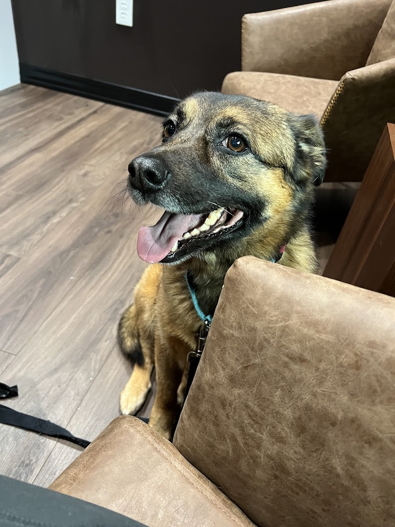 Good Dog Veterinary Care Smyrna