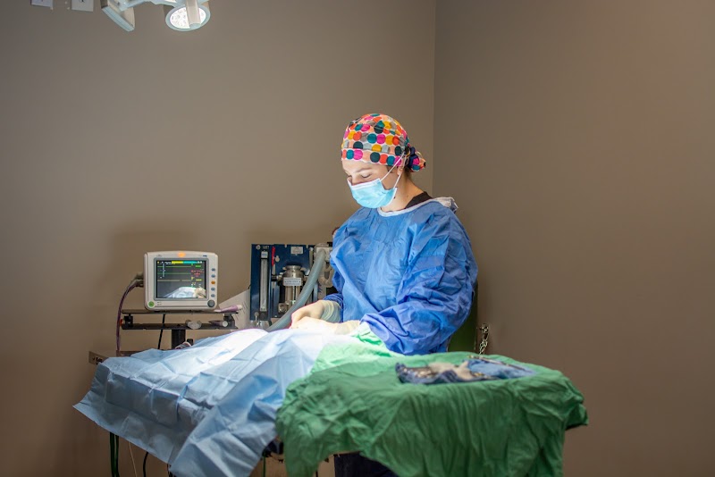 Good Dog Veterinary Care Smyrna