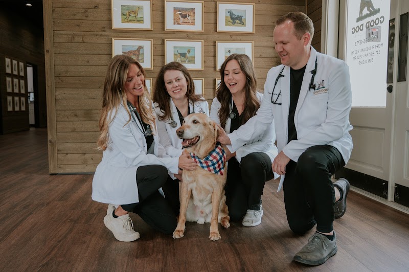 Good Dog Veterinary Care Smyrna - Smyrna