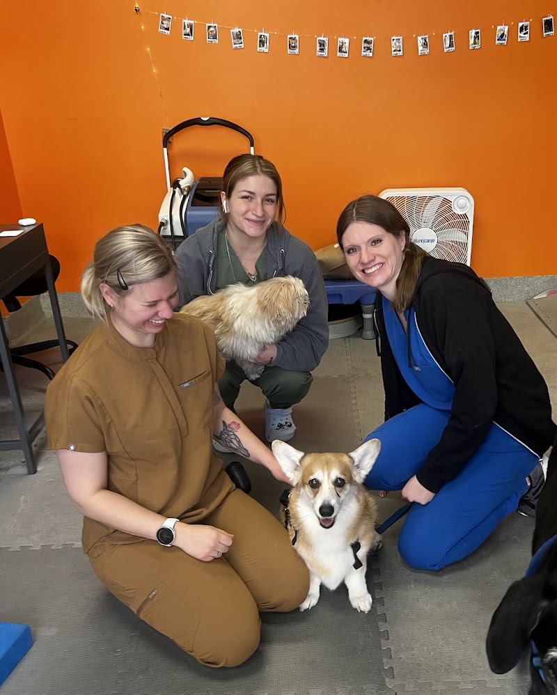 CANINE REHAB of NEW YORK